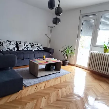 Simon * Kragujevac