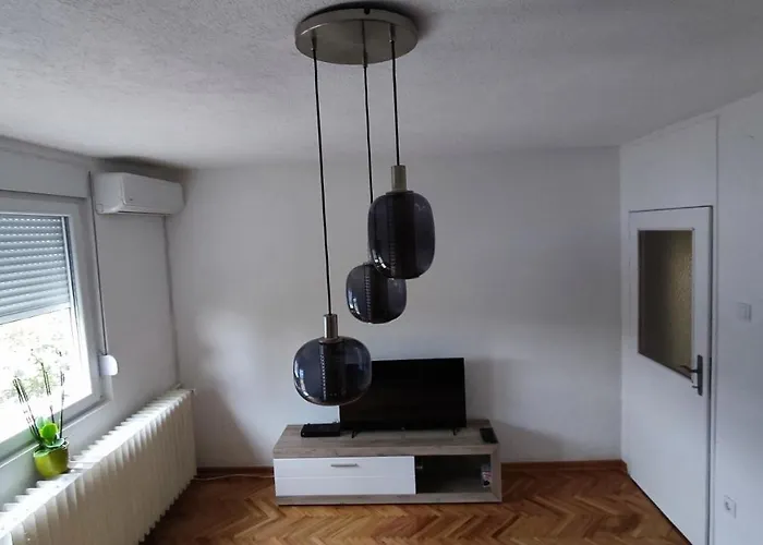 Daire Simon Kragujevac