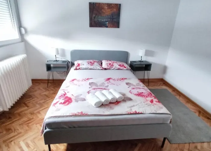 Daire Simon Kragujevac