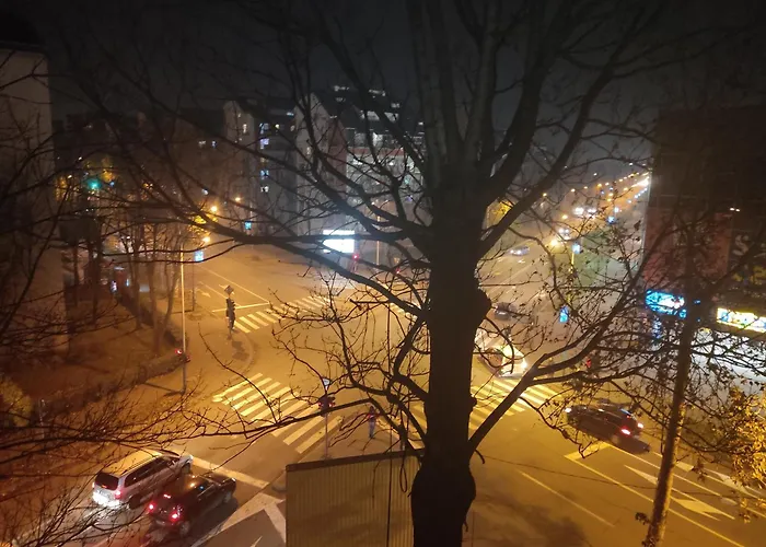 Daire Simon Kragujevac